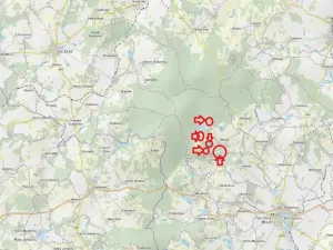 Prodej podílu lesa, Řásná, 3197 m2