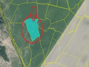 Prodej pozemku, Čížkov, 20250 m2