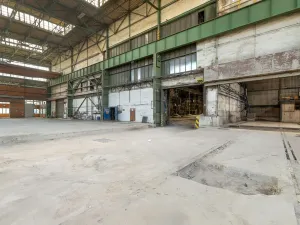 Pronájem výrobních prostor, Ostrava, 9648 m2