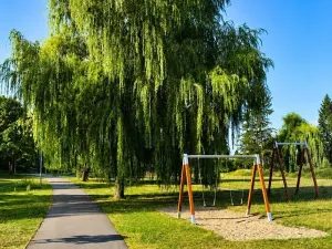 Prodej bytu 1+kk, Bakov nad Jizerou, 40 m2