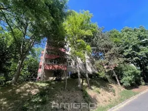 Prodej bytu 2+1, Brno, Podlesí, 53 m2