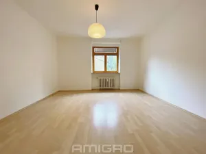 Pronájem bytu 2+kk, Brno, Obilní trh, 46 m2