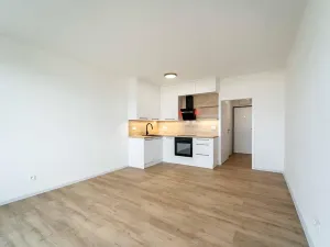 Pronájem bytu 1+kk, Olomouc, Aloise Rašína, 29 m2