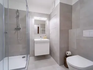 Pronájem bytu 1+kk, Olomouc, Aloise Rašína, 29 m2