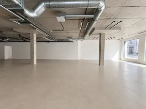 Pronájem obchodního prostoru, Praha - Žižkov, Husitská, 246 m2