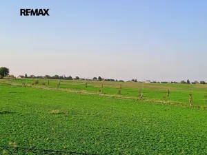 Prodej chalupy, Doubravčice, V Břízkách, 106 m2