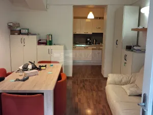 Pronájem bytu 2+kk, Praha - Vinohrady, Mánesova, 45 m2