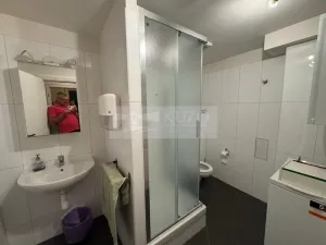 Pronájem bytu 2+kk, Praha - Vinohrady, Mánesova, 45 m2