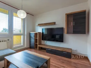 Pronájem bytu 2+1, Staré Město, Brněnská, 56 m2