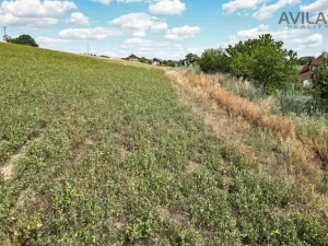 Prodej pozemku pro bydlení, Soběhrdy, Soběhrdy, 7885 m2