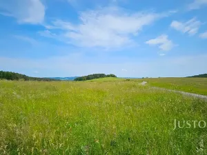 Prodej pozemku pro bydlení, Dobev, 8980 m2
