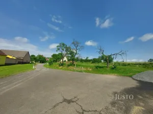 Prodej pozemku pro bydlení, Dražíč, 2918 m2
