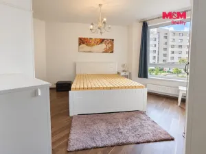 Pronájem bytu 2+kk, Praha, Rižská, 57 m2