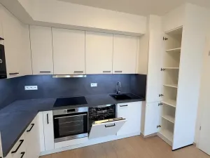 Pronájem bytu 3+kk, Praha - Řeporyje, Haenkeho, 65 m2