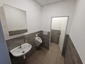 Pronájem výrobních prostor, Havířov - Bludovice, Těšínská, 450 m2