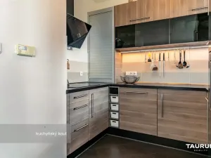 Prodej bytu 3+kk, Praha - Záběhlice, Ryšánkova, 98 m2