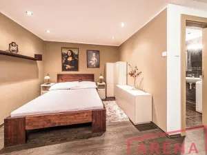 Pronájem bytu 1+kk, Brno, Žlutý kopec, 50 m2