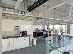 Pronájem kanceláře, Brno, Lazaretní, 150 m2