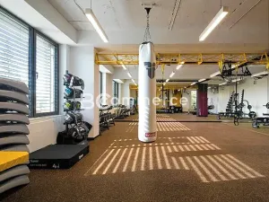 Pronájem kanceláře, Brno, Lazaretní, 570 m2