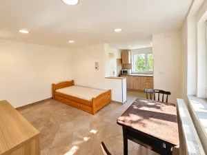 Pronájem bytu 2+kk, Chýnice, Mlejnská, 33 m2