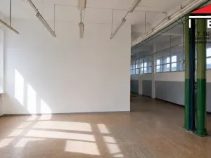 Pronájem výrobních prostor, Ostrava, Vratimovská, 169 m2