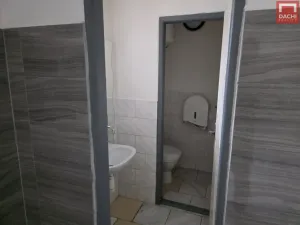 Pronájem obchodního prostoru, Holešov, Masarykova, 253 m2