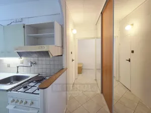 Pronájem bytu 1+1, Český Krumlov - Plešivec, 42 m2