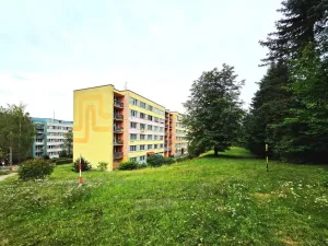 Pronájem bytu 1+1, Český Krumlov - Plešivec, 42 m2