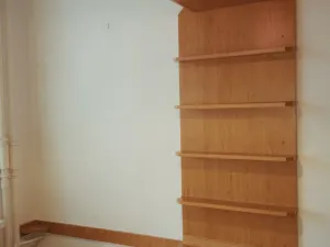 Prodej bytu 1+1, Ostrava, 29. dubna, 44 m2