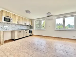 Pronájem bytu 3+kk, Lísek, 72 m2