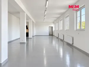 Pronájem výrobních prostor, Radošovice, 158 m2