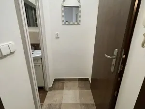 Pronájem bytu 1+kk, Praha - Žižkov, Zelenky-Hajského, 18 m2