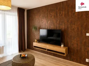 Pronájem bytu 2+kk, Plzeň - Východní Předměstí, Papírnická, 55 m2