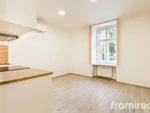 Pronájem bytu 1+kk, Brno, Hlinky, 20 m2