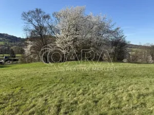 Prodej louky, Hostašovice, 101964 m2