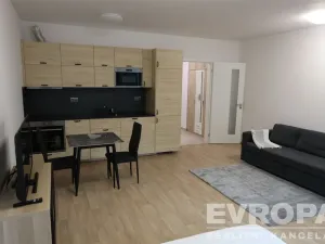 Pronájem bytu 1+kk, Praha - Žižkov, Olgy Havlové, 40 m2