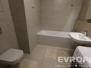 Pronájem bytu 1+kk, Praha - Žižkov, Olgy Havlové, 40 m2