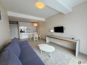 Prodej bytu 2+kk, Dolní Morava, 40 m2