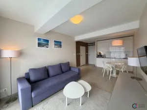 Prodej bytu 2+kk, Dolní Morava, 40 m2
