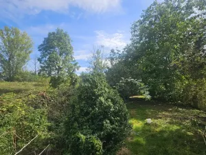 Prodej výrobních prostor, Býčkovice - Velký Újezd, 700 m2