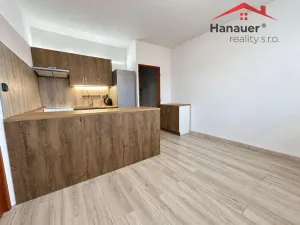 Pronájem bytu 1+1, Jílové - Kamenná, Mládeže, 36 m2
