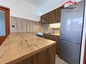 Pronájem bytu 1+1, Jílové - Kamenná, Mládeže, 36 m2