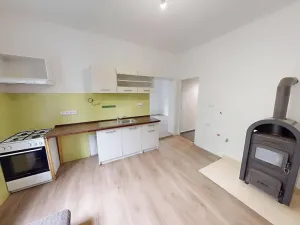 Pronájem bytu 1+1, Holčovice, 45 m2