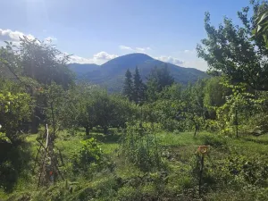 Prodej chaty, Dolní Zálezly, 28 m2