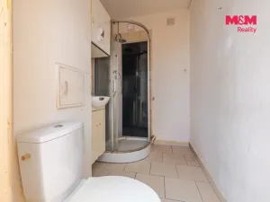 Prodej bytu 2+1, Bor, Borská, 49 m2