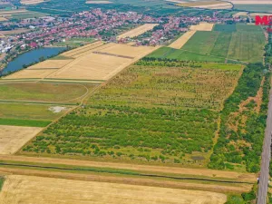 Prodej pole, Rakvice, 12442 m2