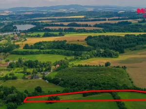 Prodej louky, Polom, 11803 m2