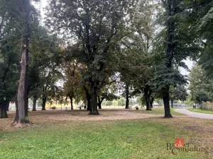 Pronájem bytu 1+1, Opava - Předměstí, Na Nivě, 37 m2