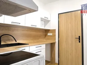 Pronájem bytu 1+1, Písek, Táborská, 27 m2
