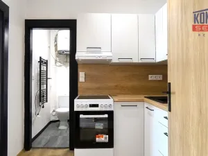 Pronájem bytu 1+1, Písek, Táborská, 27 m2